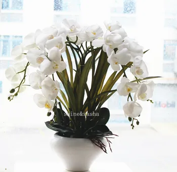 1set didelio dydžio, latekso nekilnojamojo touch dirbtinė orchidėja, gėlių kompozicijų baltas Phalaenopsis orchidėjos princesė gėlių vaza nr.