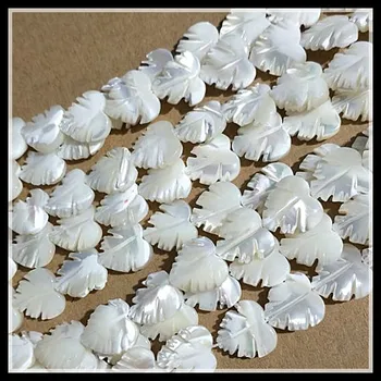 34pcs white shell stygos sūraus vandens motina perlų drožyba lapų dydis 12mm shell karoliukai, priedai