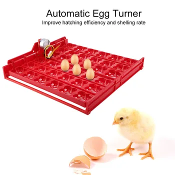 36 Kiaušinių/144 Paukščių Kiaušinių Inkubatorius Hatcher Automatinė Kiaušinių Tekinimo Plokštelės Įrankis Tekinimo Plokštelės Įrankis Inkubacijos Automatinis Inkubatorius