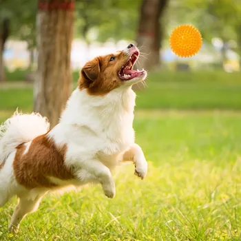 Benepaw Saugų Dantų Valymas Girgždėti Žaislas Šuo Interaktyvių žaidimų Aukštos elastinga Mažas Vidutinis Didelis Šuo Kamuolys Patvarus Šuniuką Kramtyti Žaislas Žaidimas