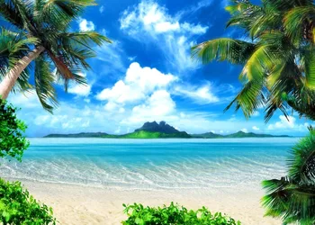 Capisco Vasaros Mėlynas Dangus, Jūros Sala Paplūdimys, Palmių Fotografijos Fonas Individualų Fotografijos Backdrops Fotostudija