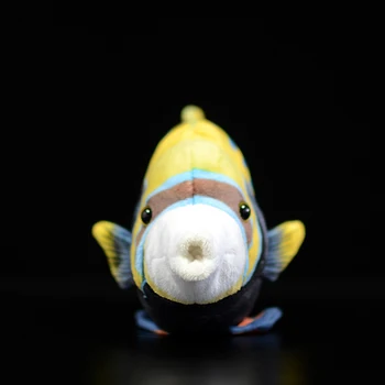 Mielas Tropinių Žuvų Imperatorius Royal Angelfish Statulėlės Modeliavimas Pygoplites Diacanthus Gyvūnų Pliušinis Žaislas Kūdikiams, Vaikams, Kalėdinės Dovanos