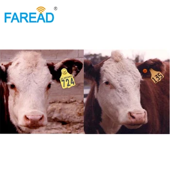 Patvarus pasyvus TPU 134.2 khz FDX-B RDA EID ausies žymeklis, kiaulės, kiaulės, Ožkos, Avys, ožkos, Karvės gyvūnų auskarai gyvulių identifikavimo