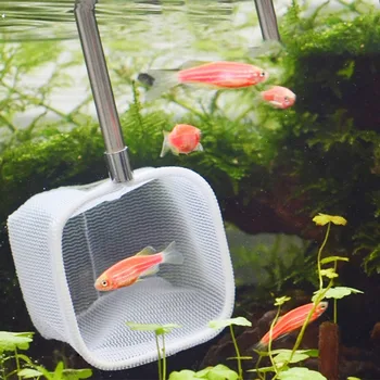 Reguliuojamas Apvalios 3D Akvariumo Žuvų Bakas Sugauti Net Nerūdijančio Plieno Mini Lazdele Žvejybos Lauko Apvalus Kišenėje Krevečių Žvejybos Tinklai