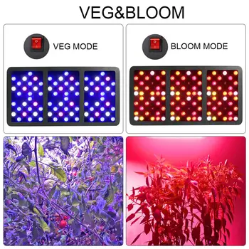 VA LED grow light Elite-2000W Visą Spektrą kambarinių augalų pakeisti 1400W HPS šviesos daržovių bloom režimas šiltnamio efektą sukeliančių Hydroponic