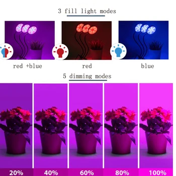 Vandeniui LED Grow lempa DC 5V usb visą spektrą fito lempos kambarinių gėlių palapinė daigų šiltnamio efektą sukeliančių led grow light fitolampy