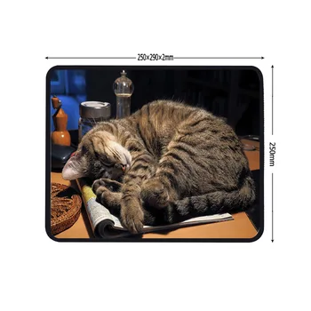 XGZ Prašome don ' t wake up miega katė Žaidimų Kilimėlis Žaidėjus Užraktas, Eeg Asmeninį Table Pc keybard Kilimėlis HD Spausdinimo Customzable