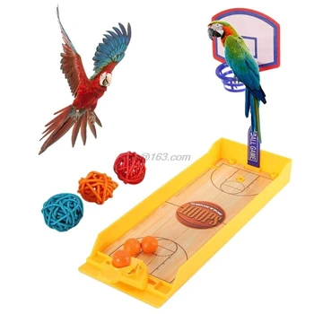 Žvalgybos Papūga Krepšinio Žaislų Rinkinys Naminių Paukščių Mokymosi Žaislai Mini Krepšinio Žaidimas Darbastalio Žaisti Papūgos Kramtomoji